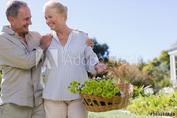 Senior couple picking flowers in sunny garden
