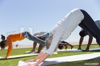 Seniors practicing yoga downward facing dog pose on sunny lawn