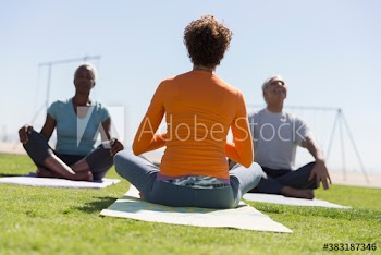 Seniors practicing yoga meditation on sunny lawn