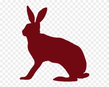 Sensitivity, Sensuality And A Love Of Esthetics And - Hare