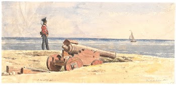 Sentinel and cannon on the beach | Free Photo - rawpixel