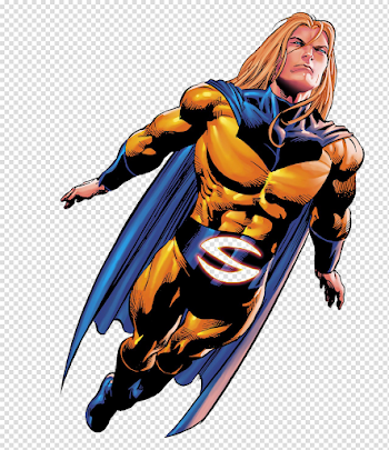 Sentry PNG Image
