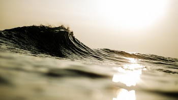 Sepia Photography of Ocean Wave