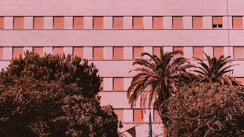 Sepia Photography of Trees Near Building