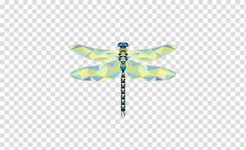 September Calendar Wall decal , Hand-painted cartoon dragonfly polygon transparent background PNG clipart