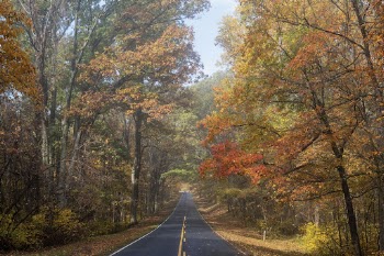 Serene Autumn forest, skyline drive | Free Photo - rawpixel