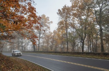 Serene Autumn forest, skyline drive | Free Photo - rawpixel