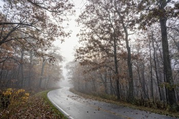 Serene Autumn forest, skyline drive | Free Photo - rawpixel
