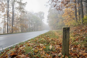 Serene Autumn forest, skyline drive | Free Photo - rawpixel