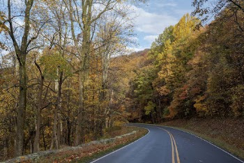 Serene Autumn forest, skyline drive | Free Photo - rawpixel