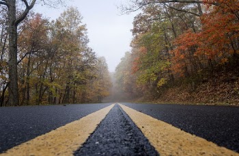 Serene Autumn forest, skyline drive | Free Photo - rawpixel