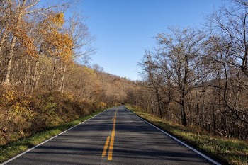 Serene Autumn forest, skyline drive | Free Photo - rawpixel