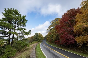 Serene Autumn forest, skyline drive | Free Photo - rawpixel