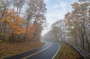 Serene Autumn forest, skyline drive | Free Photo - rawpixel