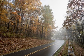 Serene Autumn forest, skyline drive | Free Photo - rawpixel