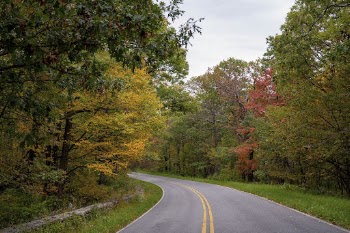 Serene Autumn forest, skyline drive | Free Photo - rawpixel