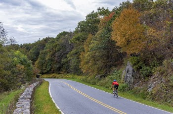 Serene Autumn forest, skyline drive | Free Photo - rawpixel