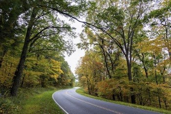 Serene Autumn forest, skyline drive | Free Photo - rawpixel