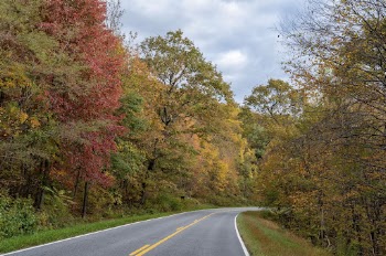 Serene Autumn forest, skyline drive | Free Photo - rawpixel