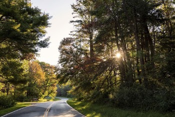 Serene Autumn forest, skyline drive | Free Photo - rawpixel
