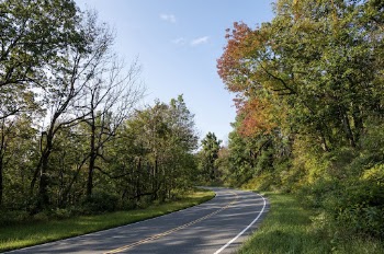 Serene Autumn forest, skyline drive | Free Photo - rawpixel