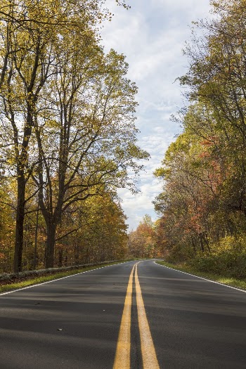 Serene Autumn forest, skyline drive | Free Photo - rawpixel