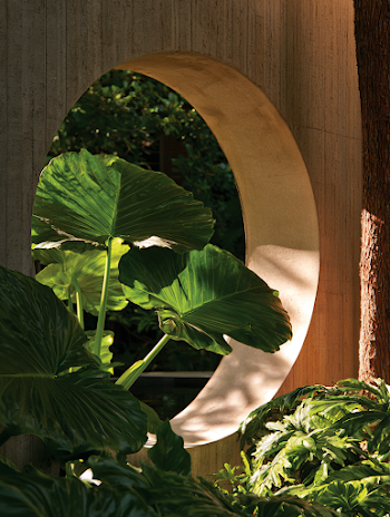 Serene Botanical Frame with Leafy Greens