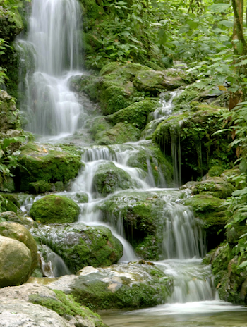 Serene Cascading Waterfall in Tropical Forest