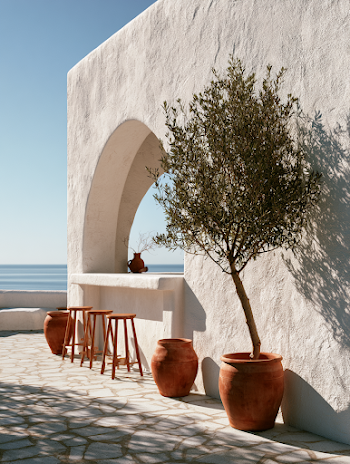 Serene Cycladic Open-Air Cafe with Olive Tree