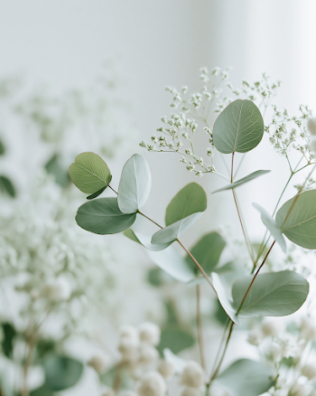 Serene Eucalyptus Elegance