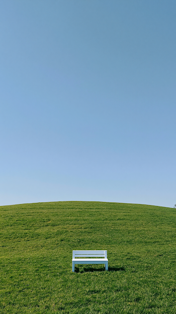Serene Green Meadow with Minimalist Bench Under Clear Sky