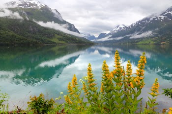 Serene landscape in Norway - Nordfjord view in Olden. Yellow...