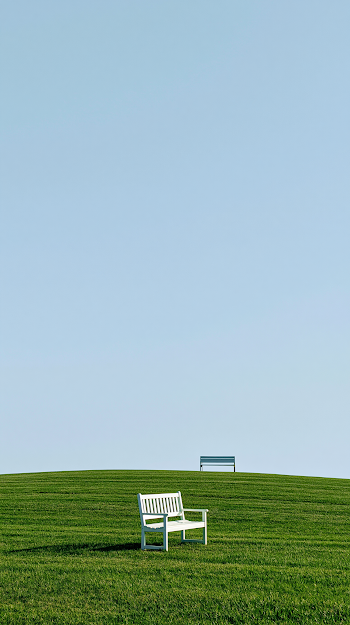 Serene Meadow with Minimalist Bench Under Blue Sky