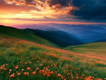 Serene Mountain Meadow at Sunset