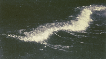 Serene Ripples on Dark Water