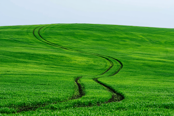 Serene Rolling Agricultural Landscape