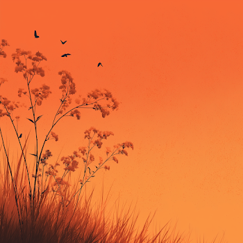 Serene Summer Sunset Background