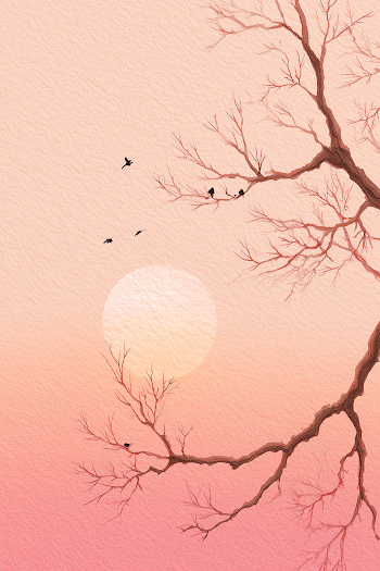 Serene Sunset Sky with Delicate Branches