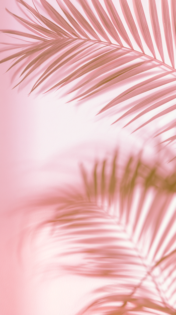 Serene Tropical Abstract Background