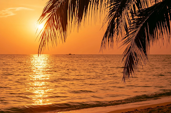 Serene Tropical Ocean Sunset with Silhouette