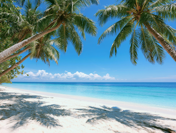 Serene Tropical Paradise Beach