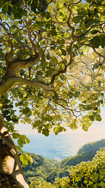 Serene View from a Fig Tree Canopy