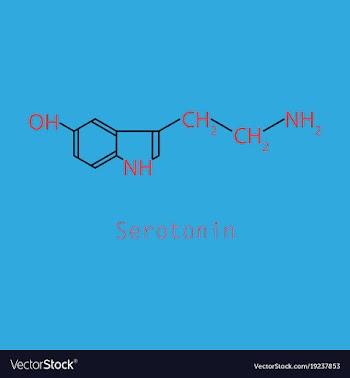 Serotonin neurotransmitter molecule skeletal vector image