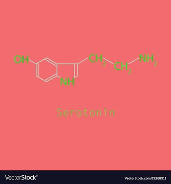 Serotonin neurotransmitter molecule skeletal vector image