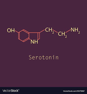 Serotonin neurotransmitter molecule skeletal vector image