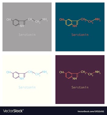 Serotonin neurotransmitter molecule skeletal vector image