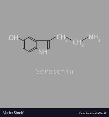 Serotonin neurotransmitter molecule skeletal vector image