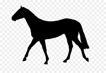 Serval Silhouette Mustang Foal Cat -  