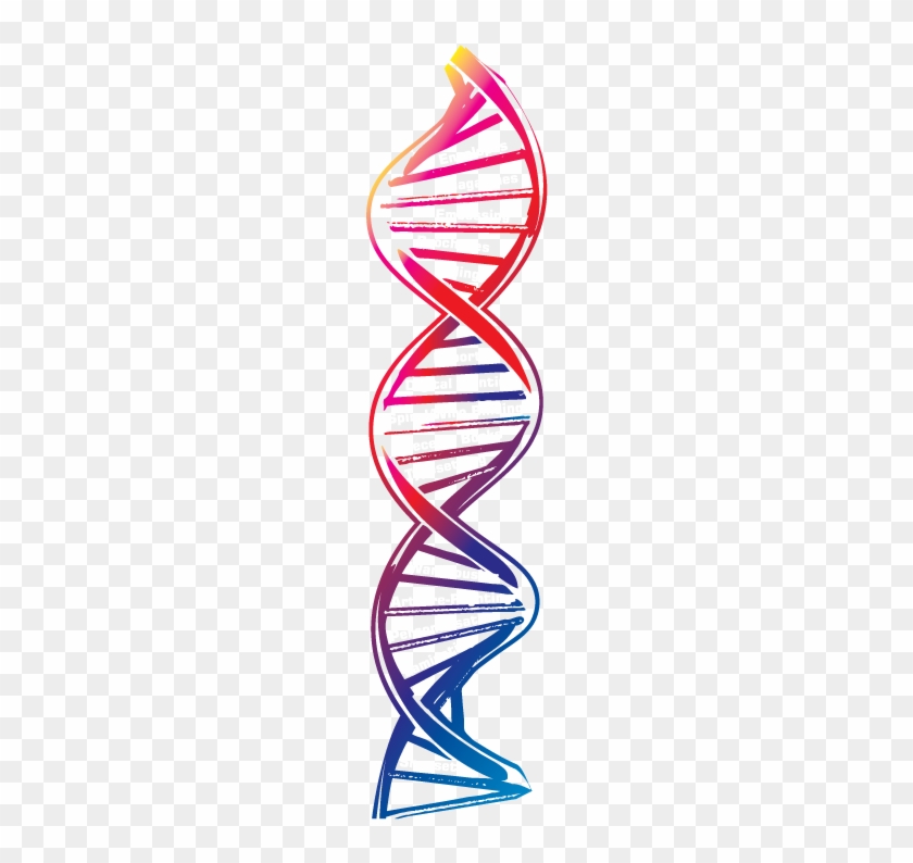 Services - Transparent Background Dna Png