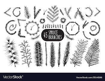 set 45 hand drawn spruce branches christmas
